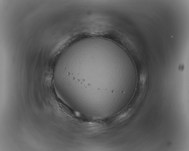 X0000111821300200908131513