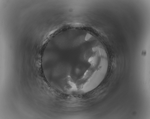 X0000111821301200908131513