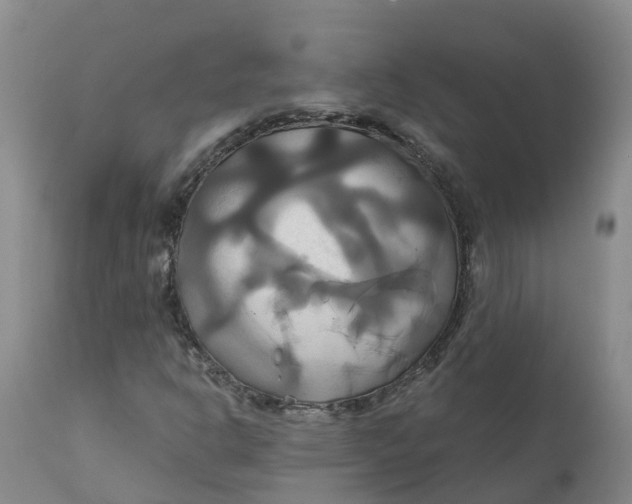 X0000111821302200908131513