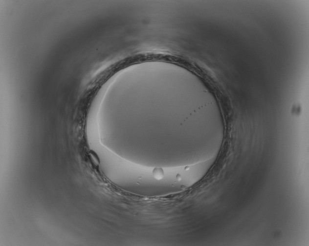 X0000111821303200908131513