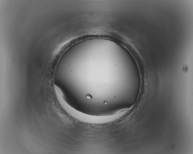 X0000111821304200908131513