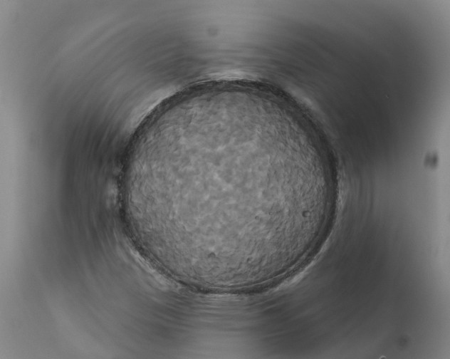 X0000111821305200908131513