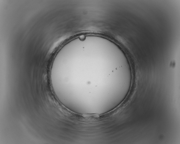 X0000111821307200908131513