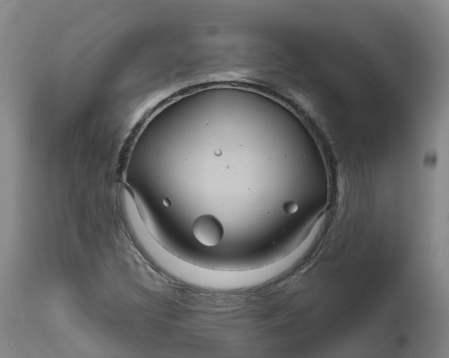 X0000111821308200908131513