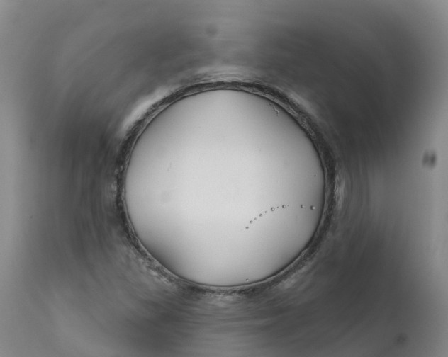 X0000111821309200908131513