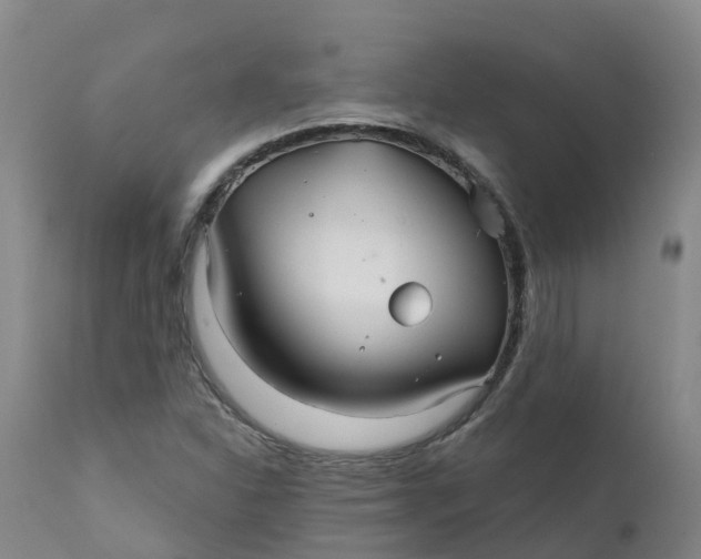 X0000111821310200908131513