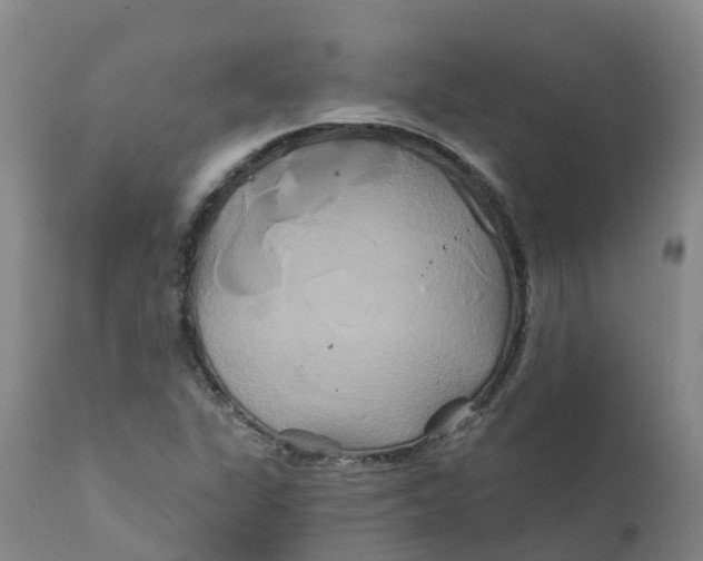 X0000111821311200908131513