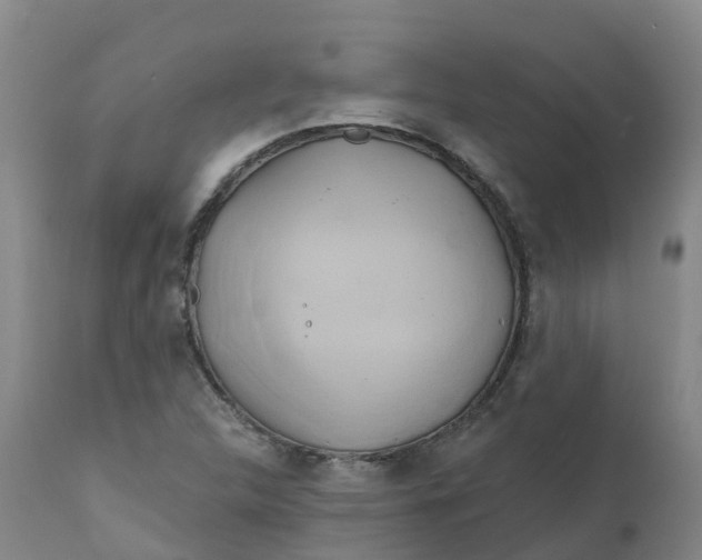 X0000111821312200908131513