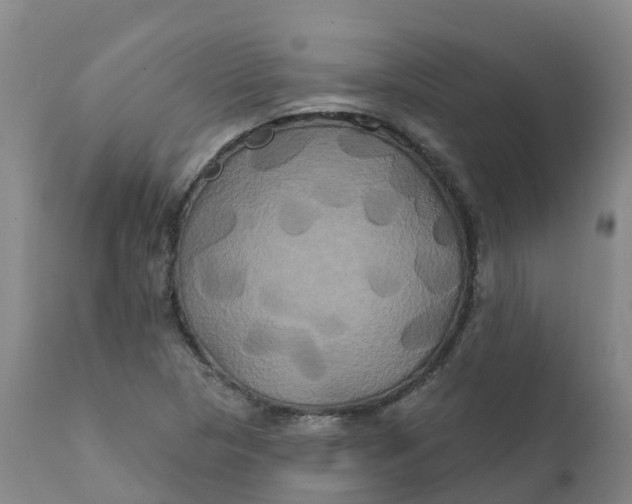 X0000111821313200908131513