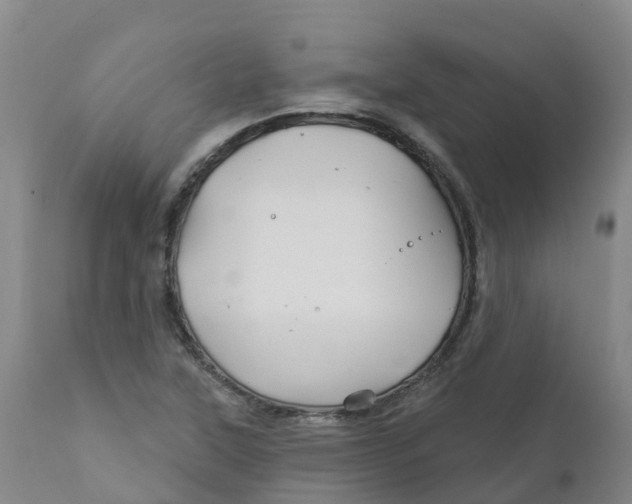 X0000111821315200908131514