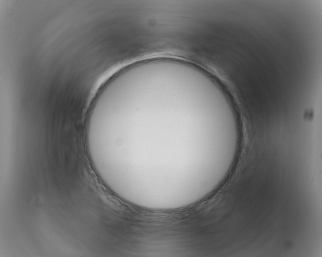 X0000111821316200908131514