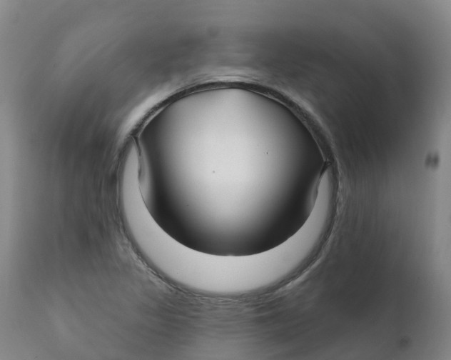 X0000111821317200908131514