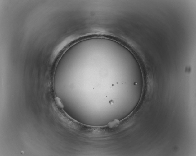 X0000111821318200908131514