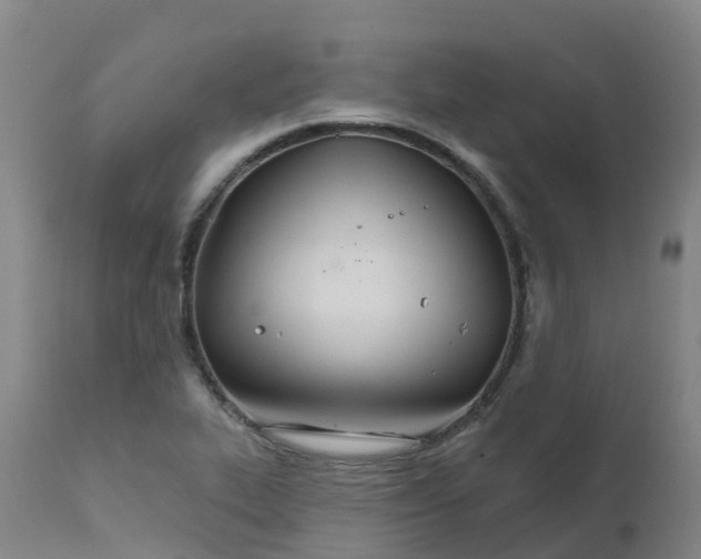 X0000111821319200908131514