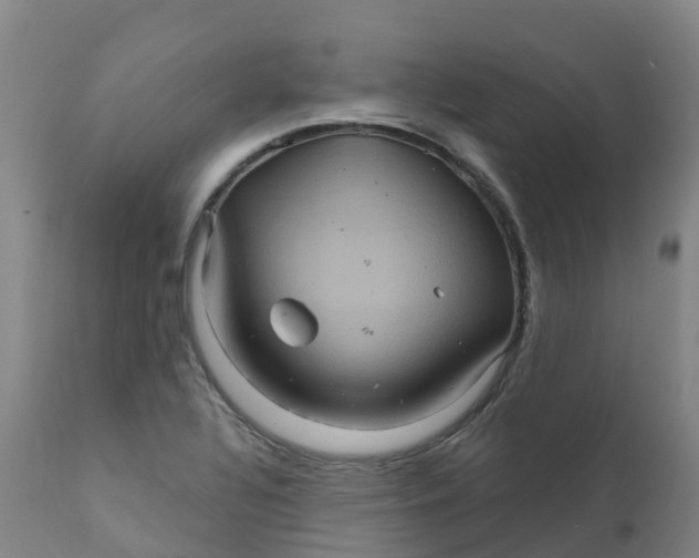 X0000111821320200908131514