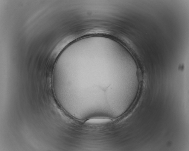 X0000111821321200908131514