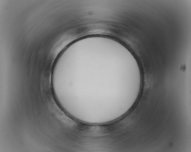 X0000111821322200908131514