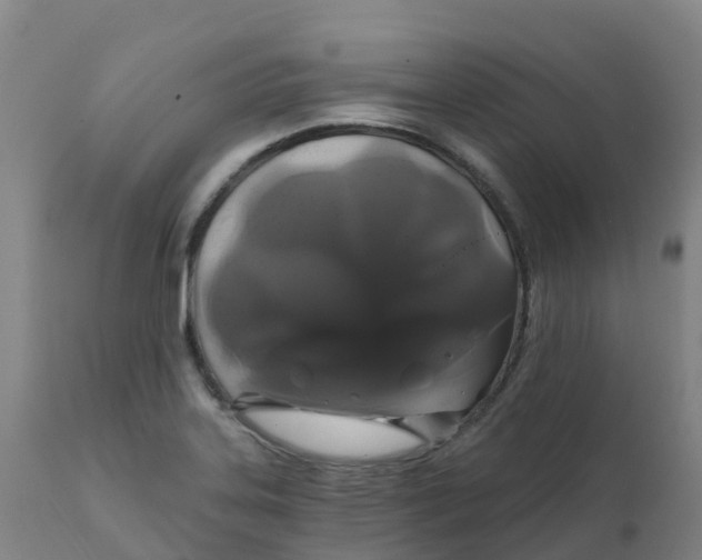 X0000111821323200908131514