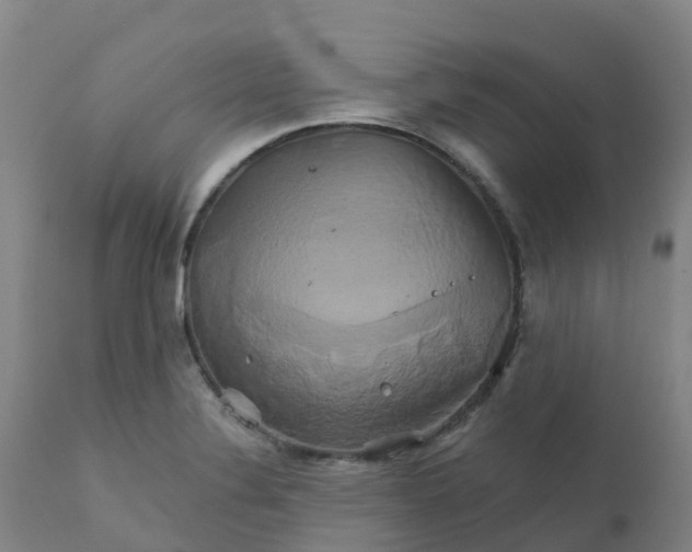 X0000111821324200908131514