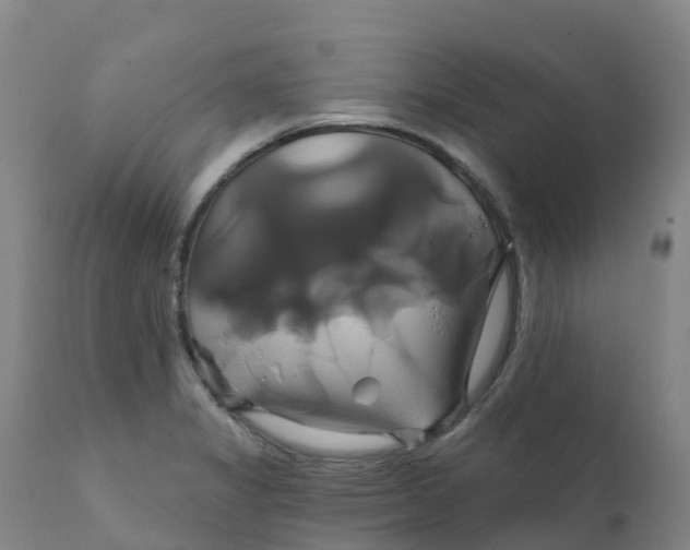 X0000111821325200908131514