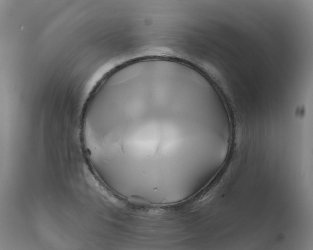 X0000111821326200908131514