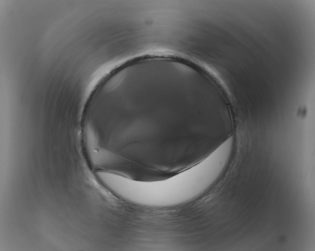 X0000111821327200908131514