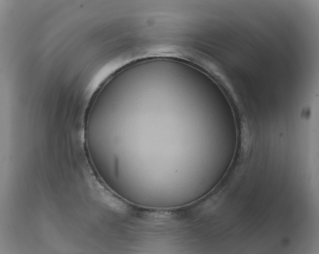 X0000111821328200908131514