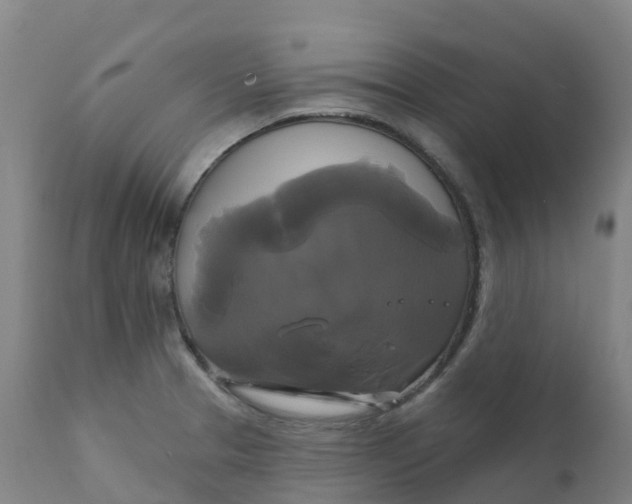 X0000111821329200908131514