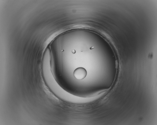 X0000111821330200908131514