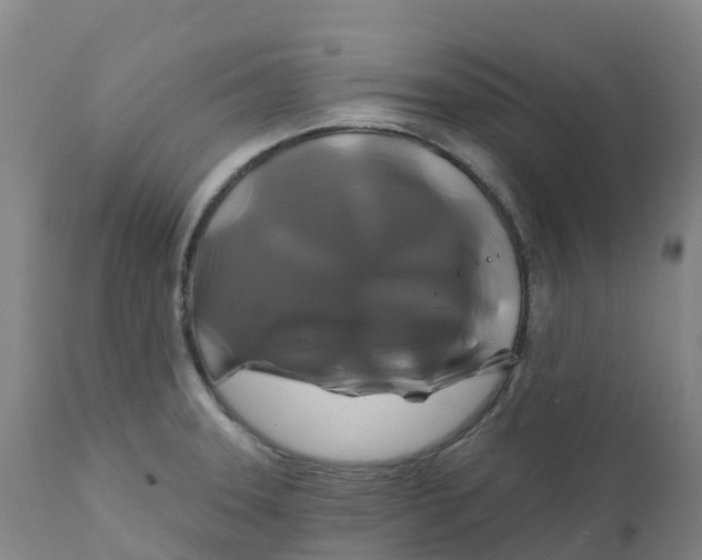 X0000111821331200908131514