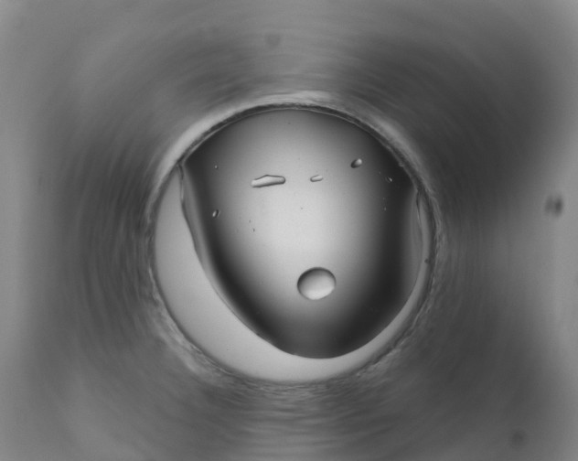 X0000111821332200908131514