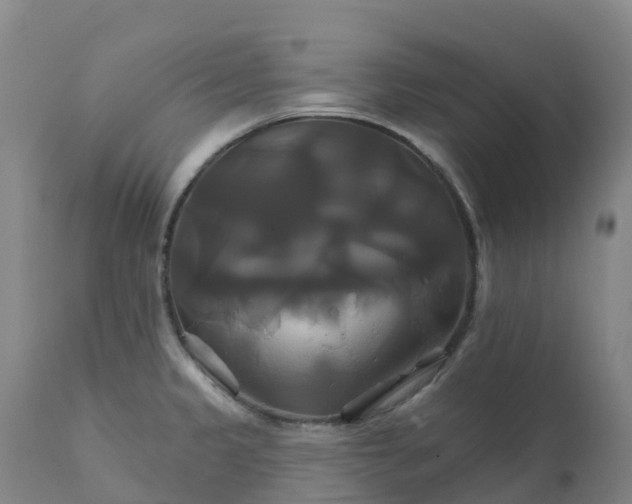 X0000111821333200908131514