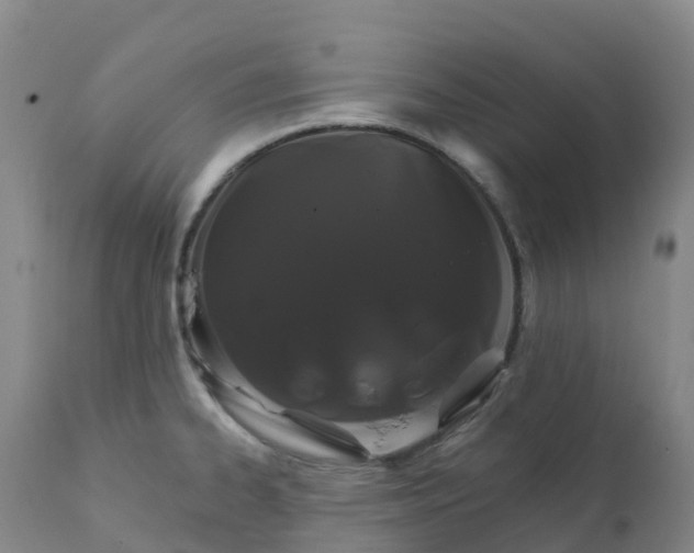 X0000111821334200908131514