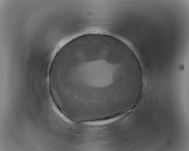 X0000111821335200908131514