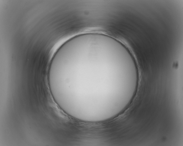 X0000111821336200908131514