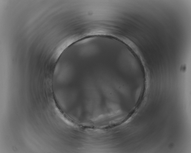 X0000111821337200908131514