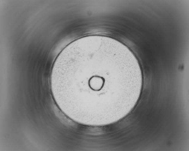 X0000111821338200908131514