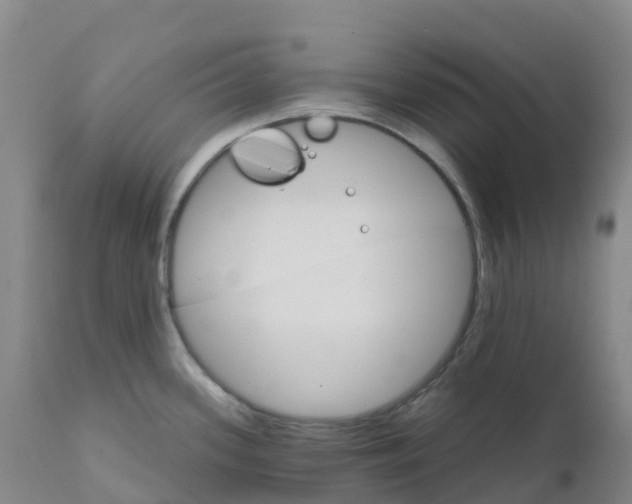 X0000111821339200908131514