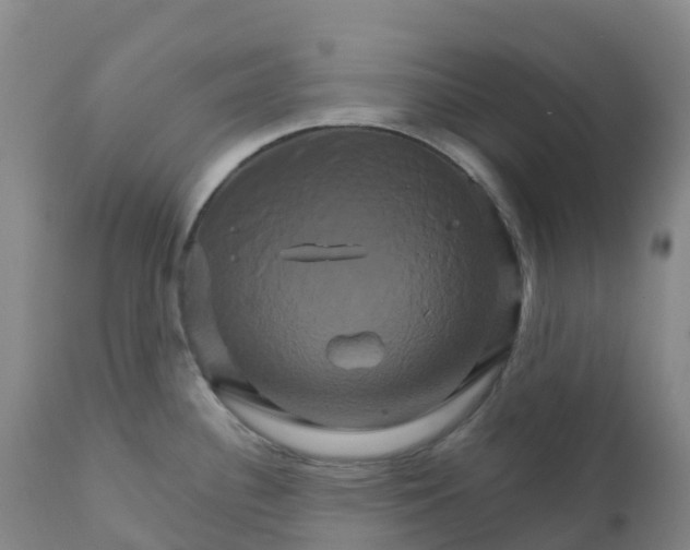 X0000111821340200908131514