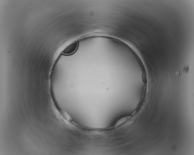 X0000111821341200908131514