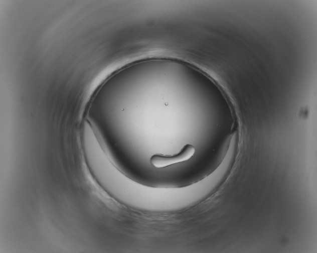 X0000111821342200908131514