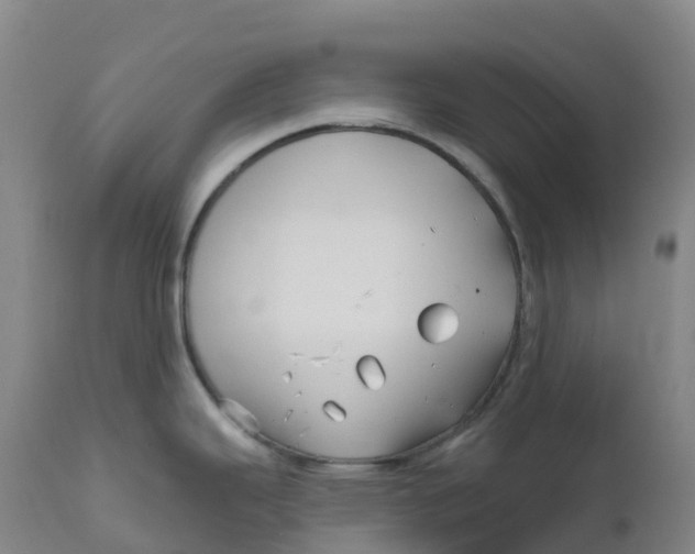 X0000111821343200908131514