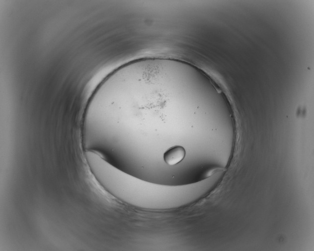 X0000111821344200908131514