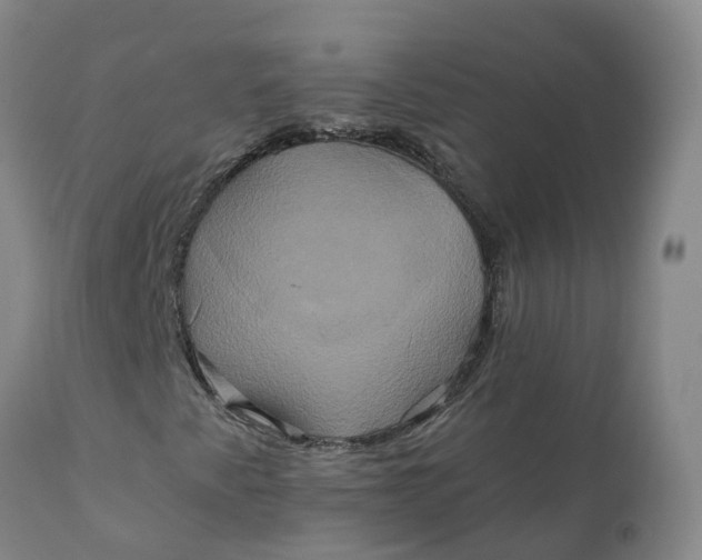 X0000111821345200908131513