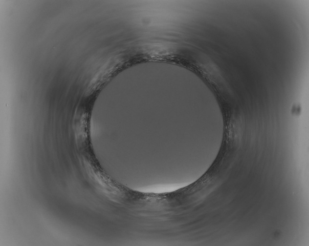 X0000111821346200908131513