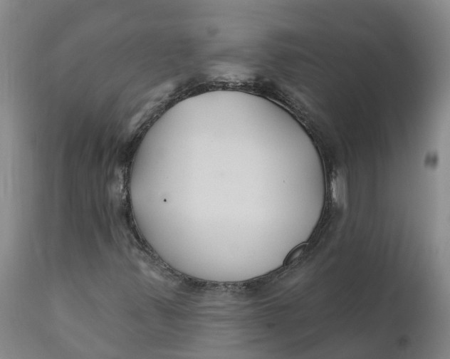 X0000111821347200908131513