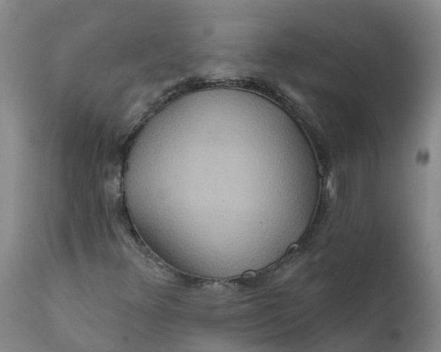 X0000111821348200908131513