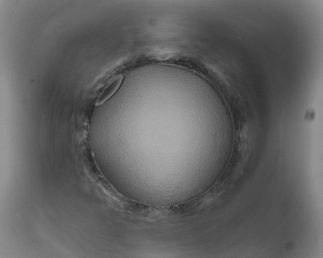 X0000111821349200908131513