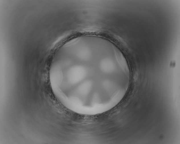 X0000111821350200908131513