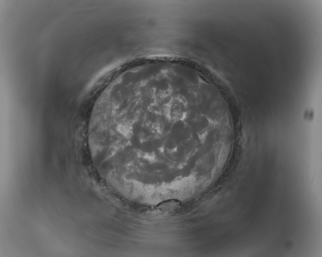 X0000111821351200908131513